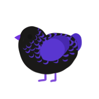 Gothic, a sable and indigo chicken with a half-lace pattern