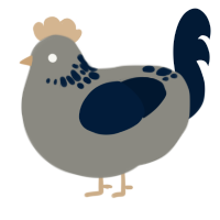 A ash and tumblr chicken with a neck-speckle pattern