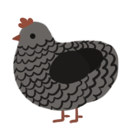 A grey and sable chicken with a lace pattern