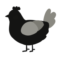 A black and ash chicken