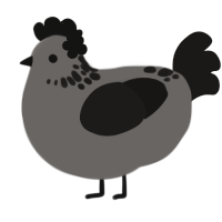 A grey and sable chicken with a neck-speckle pattern