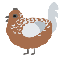 A brown and mist chicken with a half-lace pattern