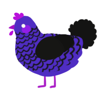 A indigo and black chicken with a lace pattern