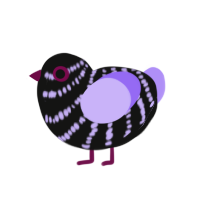 Goffick, a black and lilac chicken with a bar pattern