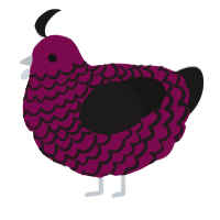 A wine and sable chicken with a lace pattern