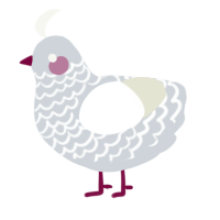 A mist and white chicken with a lace pattern