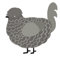 A grey and ash chicken with a lace pattern