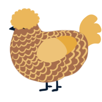 A brown and honey chicken with a lace pattern