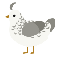A white and ash chicken with a half-lace pattern