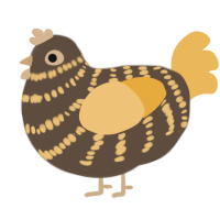 A bark and honey chicken with a bar pattern