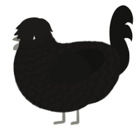 A sable and black chicken with a lace pattern