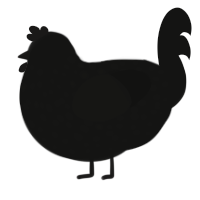 A black chicken with a speckle pattern