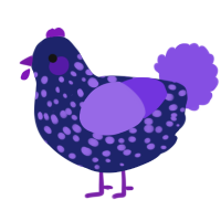 A navy and blurple chicken with a speckle pattern