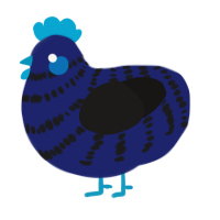 A navy and sable chicken with a bar pattern