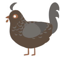 A bark and grey chicken with a half-lace pattern