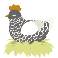 A grey and white chicken with a lace pattern