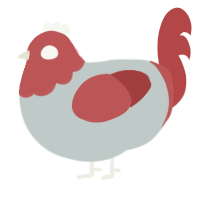 A silver and red chicken with a head pattern