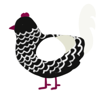 A black and white chicken with a lace pattern