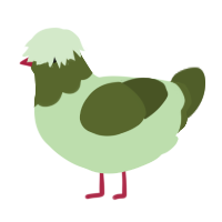 A gluppy and olive chicken with a head pattern