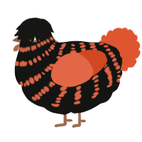 A black and vermilion chicken with a bar pattern