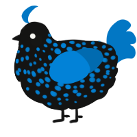 A black and sapphire chicken with a speckle pattern