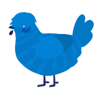 A sapphire chicken with a bar pattern