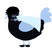 A white and bark chicken with a neck-speckle pattern