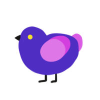 Shockwave, a indigo and orchid chicken