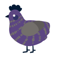 A overcast and grey chicken with a bar pattern