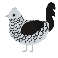 A mist and sable chicken with a lace pattern