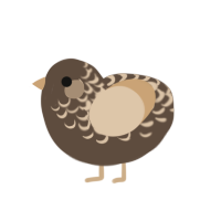 (unnamed), a bark and beige chicken with a half-lace pattern