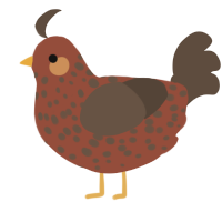 A russet and bark chicken with a speckle pattern