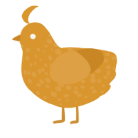 A orange chicken with a speckle pattern