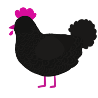 A black and sable chicken with a double-lace pattern