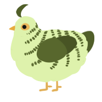 A apple and olive chicken with a half-bar pattern