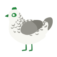 A white and ash chicken with a half-lace pattern