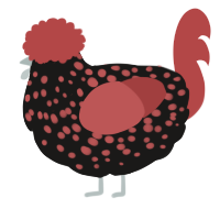 A sable and red chicken with a speckle pattern