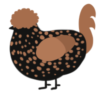 A black and brown chicken with a speckle pattern
