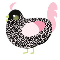 A black and rose chicken with a double-lace pattern