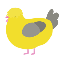 A yellow and ash chicken