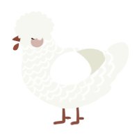 A white chicken with a lace pattern