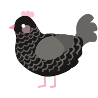 A sable and grey chicken with a lace pattern
