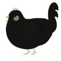 A black chicken with a bar pattern