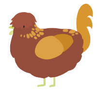 A russet and orange chicken with a neck-speckle pattern