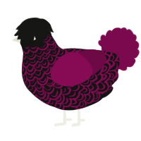 A black and wine chicken with a double-lace pattern