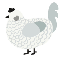 A white and silver chicken with a lace pattern