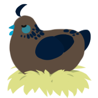 A bark and tumblr chicken with a neck-speckle pattern