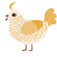 A cream and honey chicken with a lace pattern