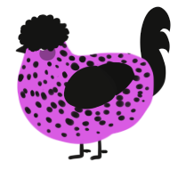 A orchid and black chicken with a speckle pattern