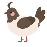 A cream and bark chicken with a head pattern